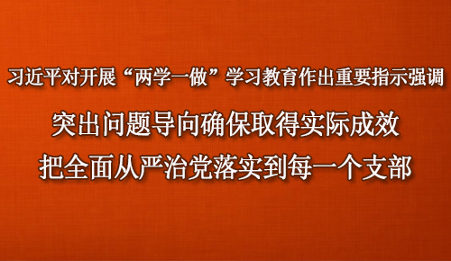 習近平對開展“兩學一做”學習教育作出重要指示強調