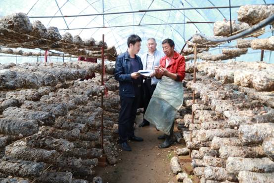 F:2017年2017下半年投稿8月中紀委網站要聞新圖片與農民共話食用菌產業.JPG F:2017年2017下半年投稿8月中紀委網站要聞新圖片與農民共話食用菌產業.JPG