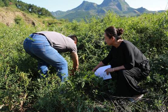 F:2017年2017下半年投稿8月中紀委網站要聞新圖片檢查中草藥種植項目.JPG F:2017年2017下半年投稿8月中紀委網站要聞新圖片檢查中草藥種植項目.JPG